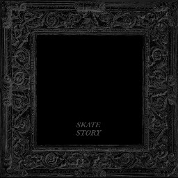 SKATE STORY