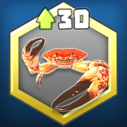 Maxed Out! - TasmanianGiant Crab