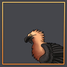 Vulture Queen