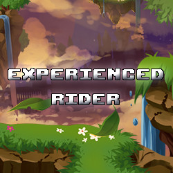 Experienced Rider