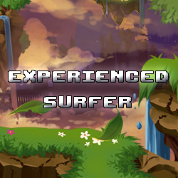 Experienced Surfer