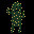 Cactus only
