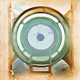 Portal Access