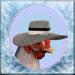 Hens with hats