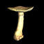 Icon for Mushroom 3