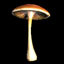 Icon for Mushroom 1
