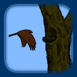 Icon for Nested Bird