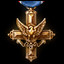 Icon for Distinguished Service Cross