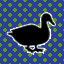 Icon for DUCK!