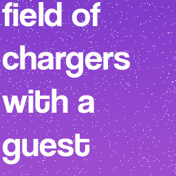 field of chargers with a guest