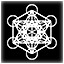 Metatron's Cube