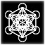 Metatron's Cube