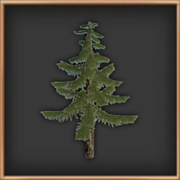 Icon for Black Falls Forrest