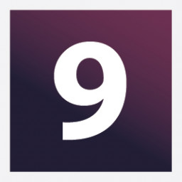 Icon for 9