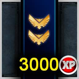 3000 XP Medal