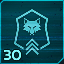 उपलब्धि चिह्न