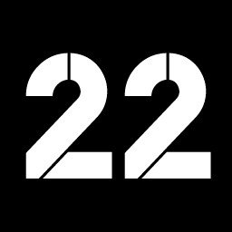 Icon for 22 level