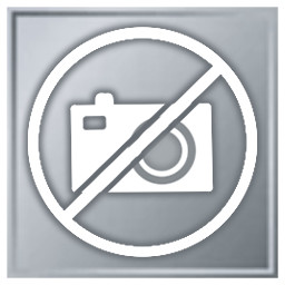 Icon for No time to enjoy the view