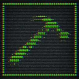 First Torture Session