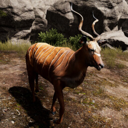 Mammalogist