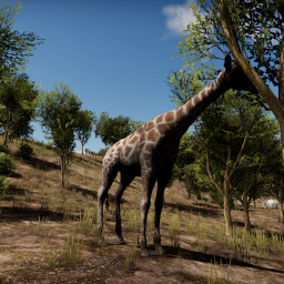 Zoologist