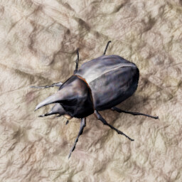Entomologist
