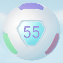 Level 55