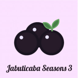 FRUIT SEASONS JABUTICABA III