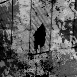 A Child In The Window