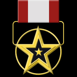 Gold Star for Meritorious Service