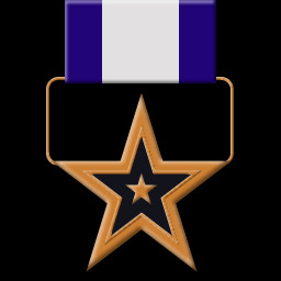 Bronze Star for Valuable Service