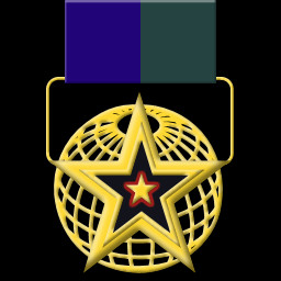 Gold Star for Distinguished Conduct