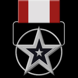 Silver Star for Meritorious Service