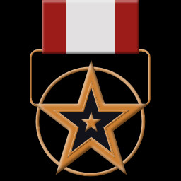 Bronze Star for Meritorious Service