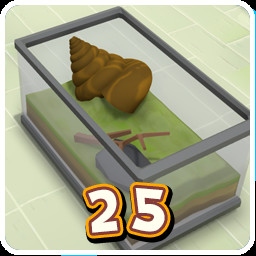 Everybody Needs a Home