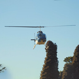 PASSEIO POR FARROUPILHA