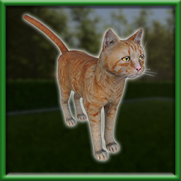 Icon for Animals need water, too