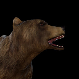 Icon for The revenant