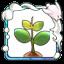 Icon for Cherry blossomA