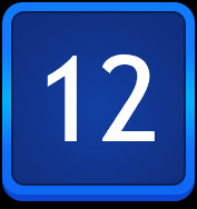 Level 12
