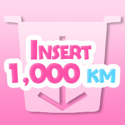 Icon for Insert 1000 km
