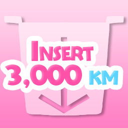 Icon for Insert 3000 km