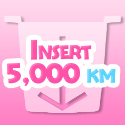Icon for Insert 5000 km