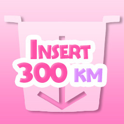 Icon for Insert 300 km