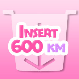 Icon for Insert 600 km