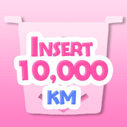 Icon for Insert 10000 km