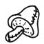 Icon for Mushroom