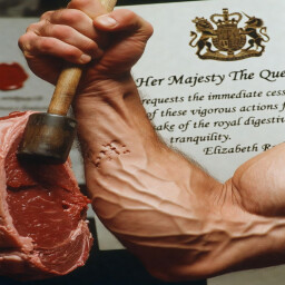 Monarch-Shocking Meat Monarch! 