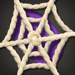 The Best Shield In The Game