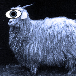 Secret Sheep